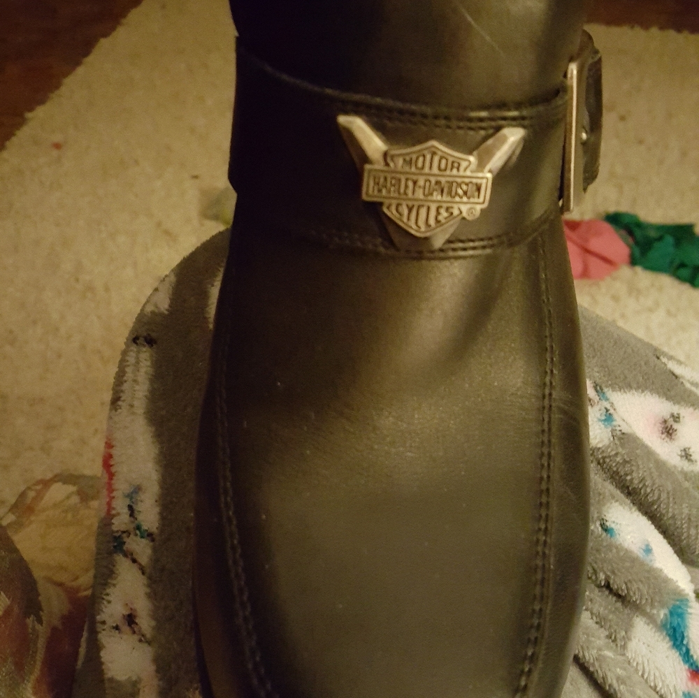 Harley Davidson Shoes